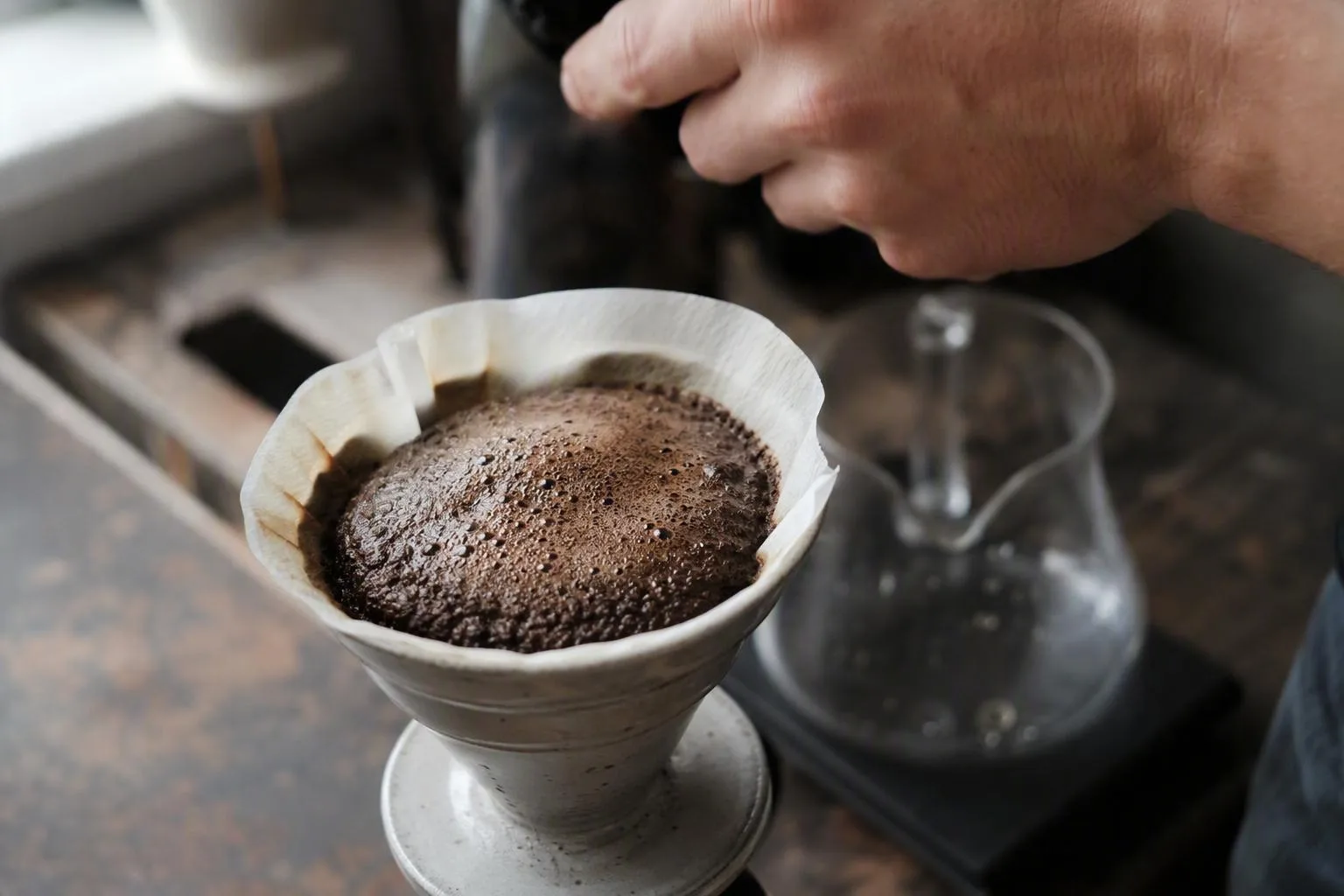 Coffee grounds swell evenly in a dripper during the timed bloom, showing the wetting step in action.