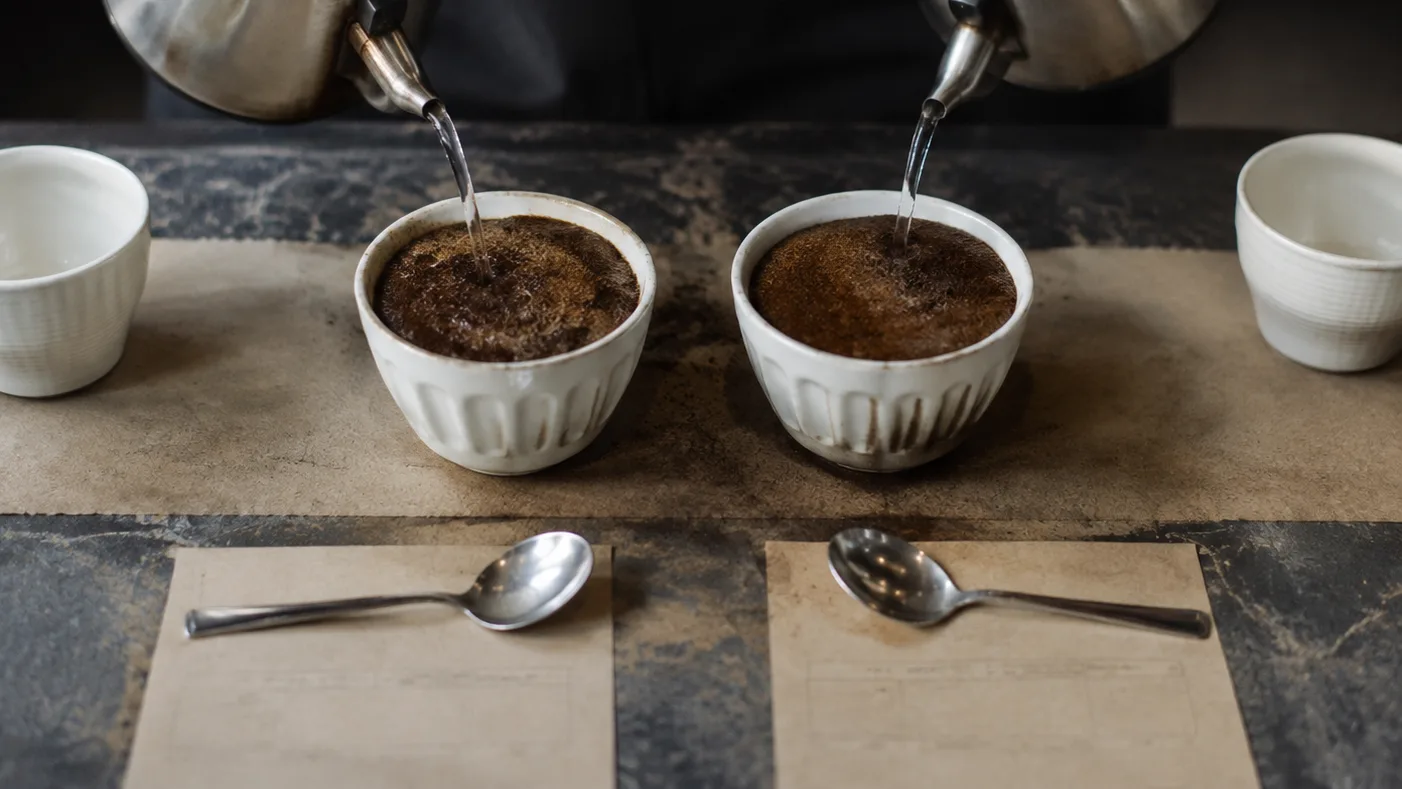 Two matching cupping bowls are prepared side by side so their tasting results can be compared fairly.