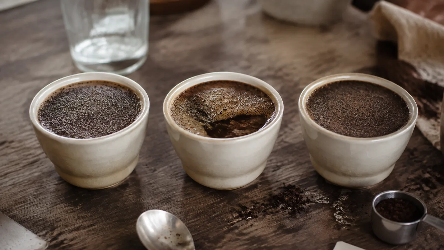 Three matching cups sit in a measured row for a direct side-by-side coffee comparison.